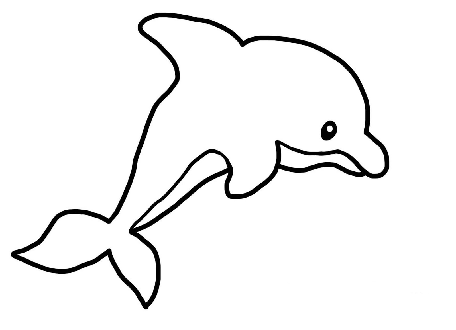 coloriage dauphin imprimer