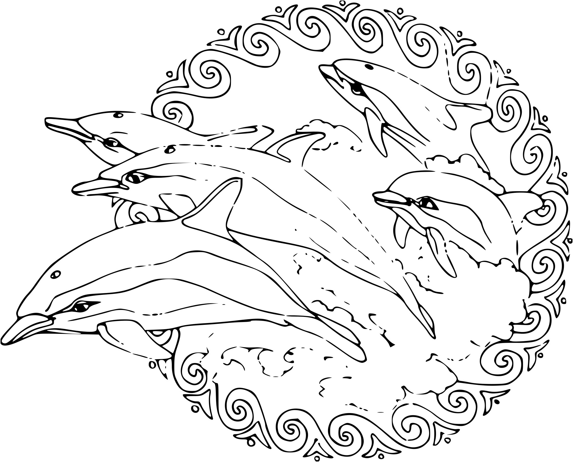dessin a imprimer dauphin mandala