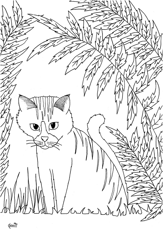 image=chats coloriage petit chat par miwah 3