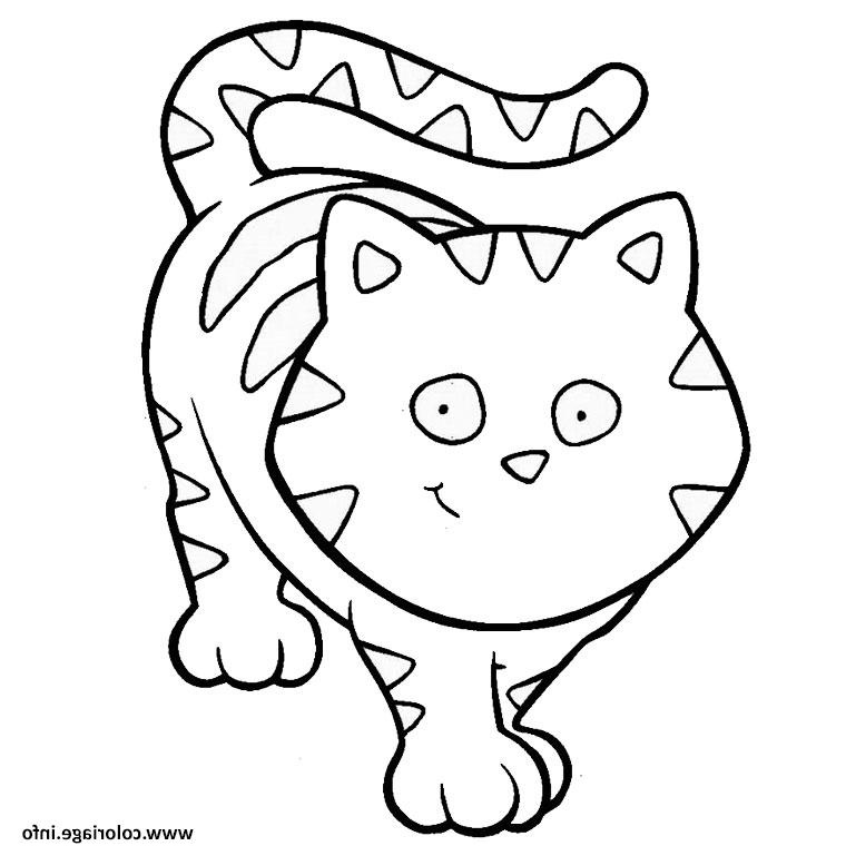 animaux mignon chat coloriage dessin