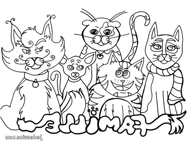 famille de chats