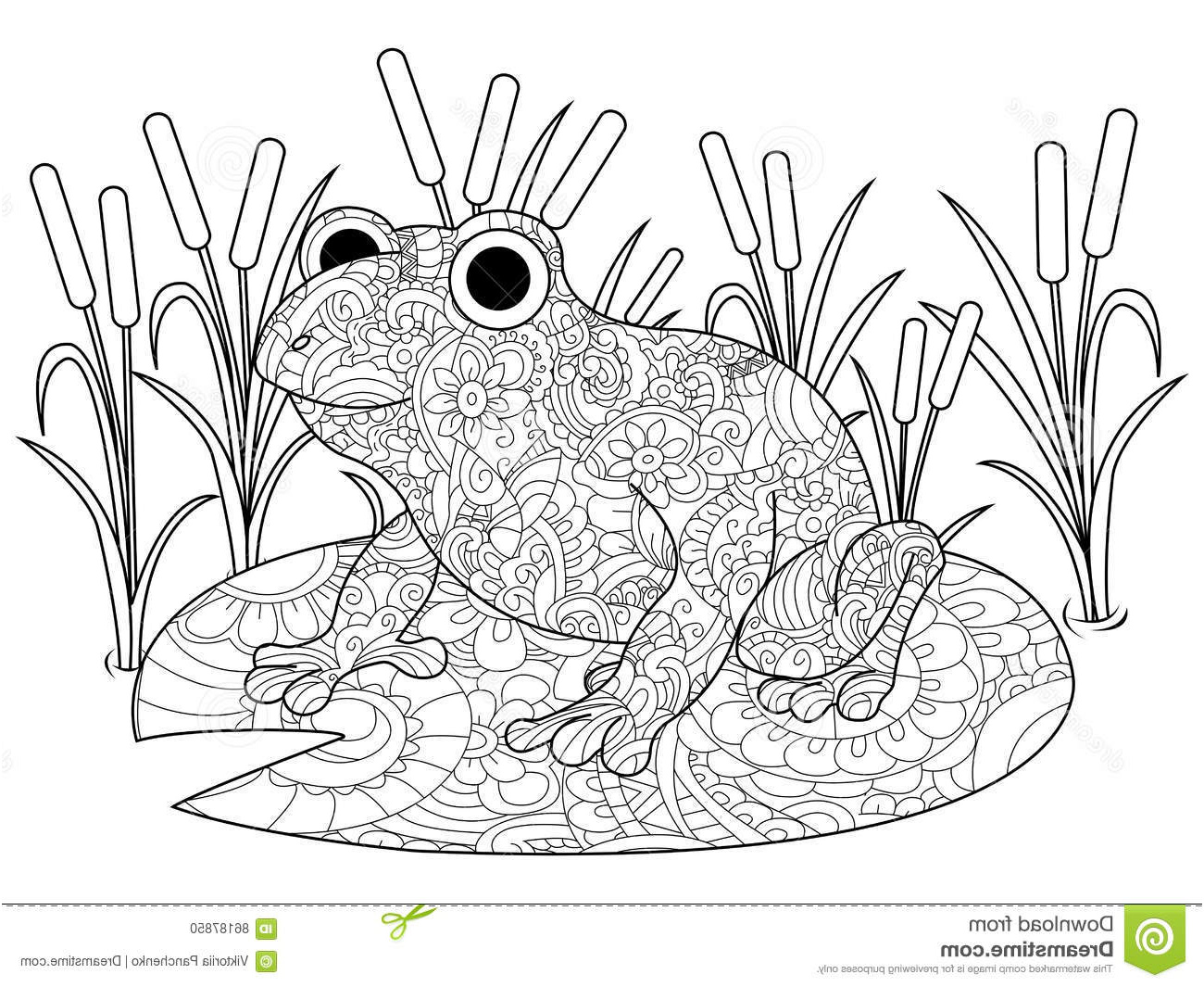 illustration stock grenouille lis livre coloriage marais vecteur d adultes image