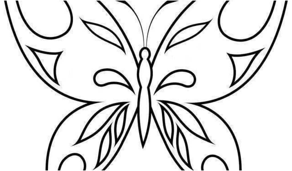 coloriage papillon a imprimer hugo l039escargot elegant 74 coloriage a imprimer hugo l escargot
