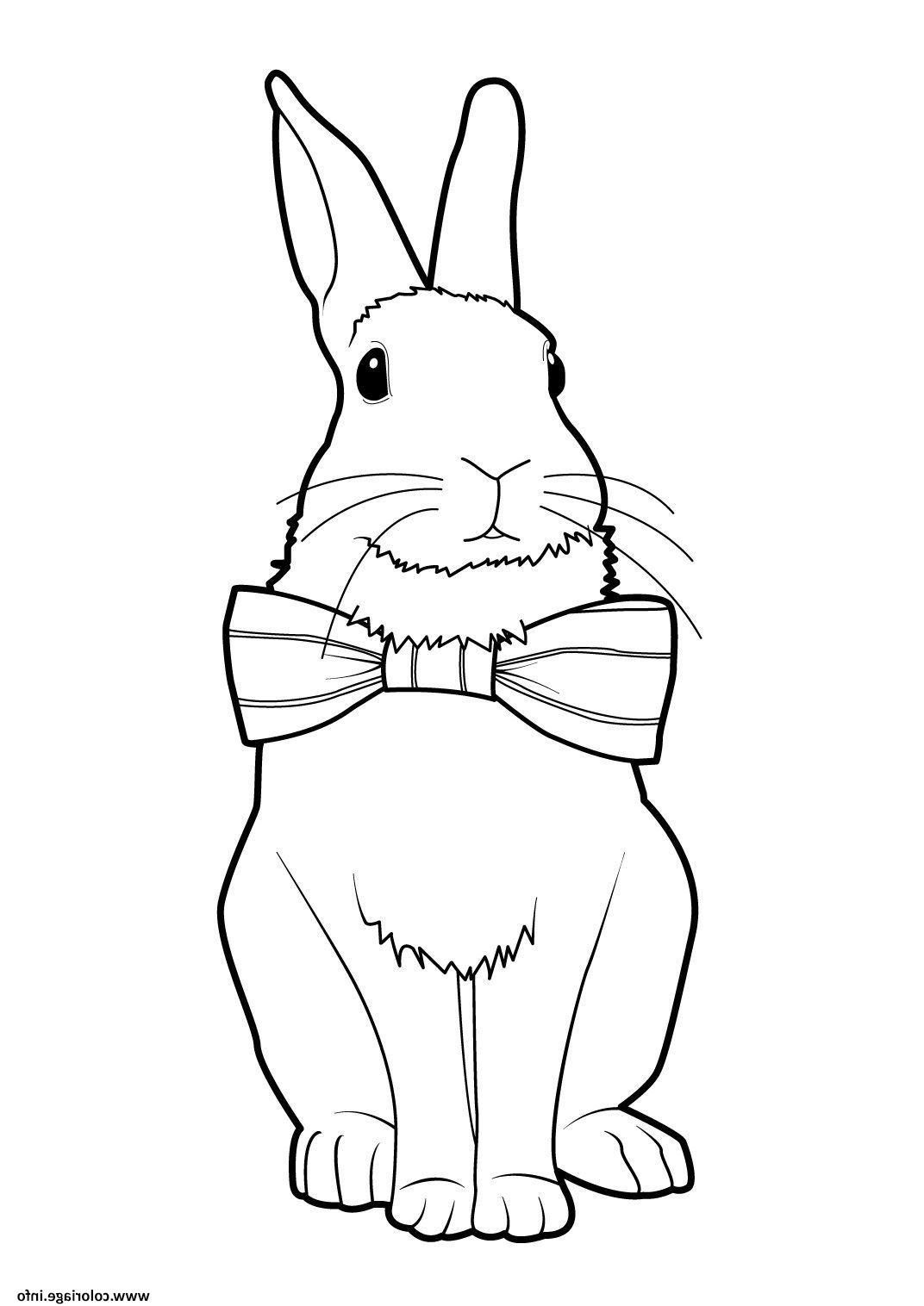 lapin 9 coloriage