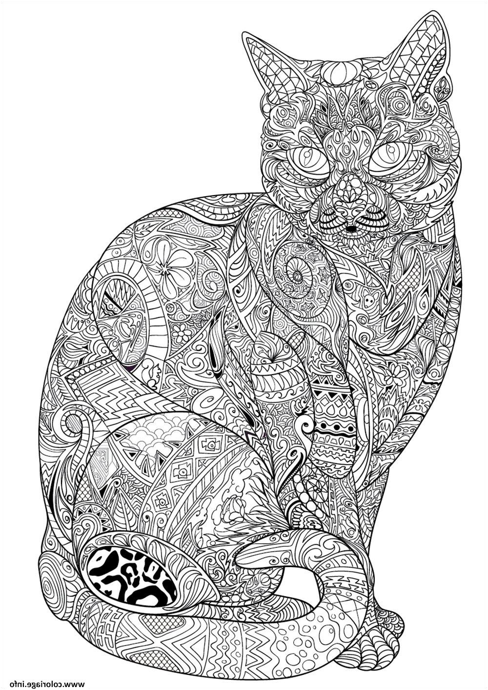 chat adulte difficile antistress animaux coloriage dessin