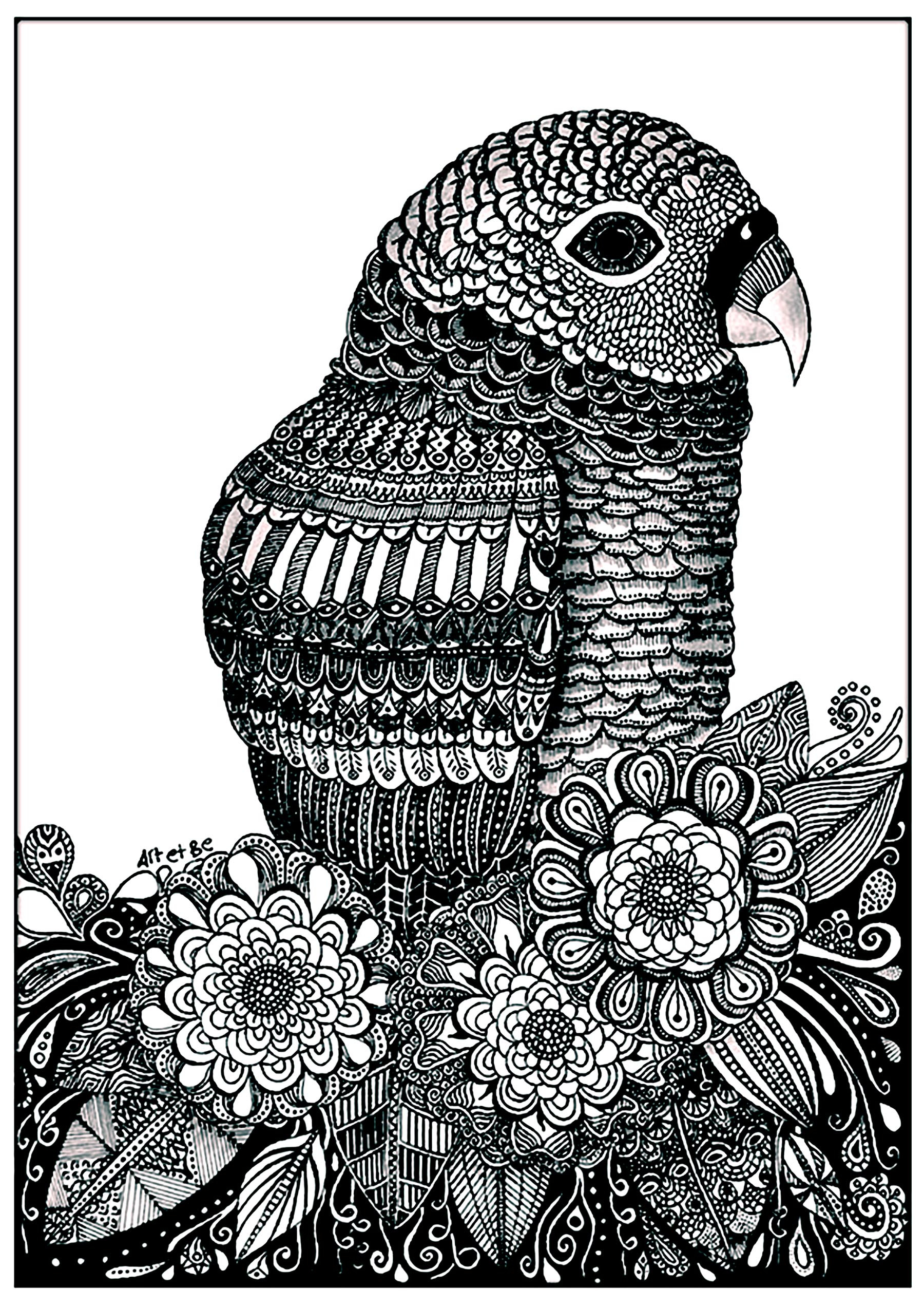 image=oiseaux coloriage perroquet et fleurs 1