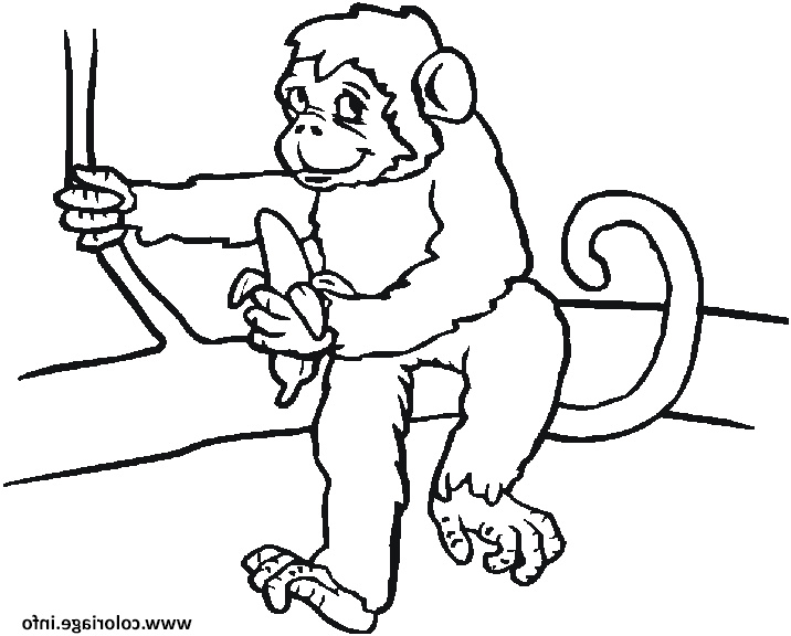 un singe assis sur une branche avec sa banane coloriage