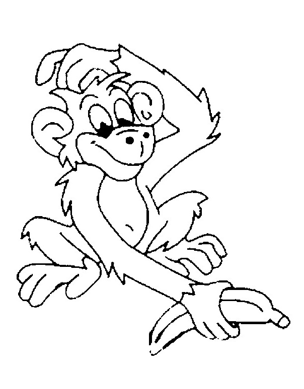 un singe risible en couleur