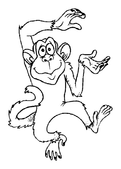 coloriage singe rigolo et dessin