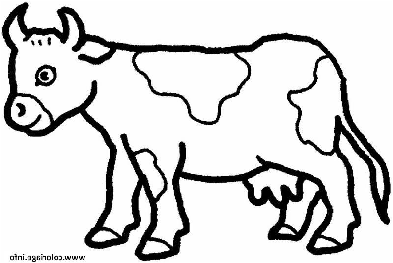 vache facile 80 coloriage dessin