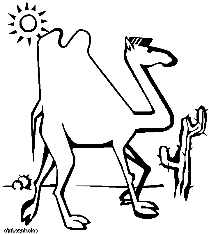 chameau dans le desert coloriage dessin