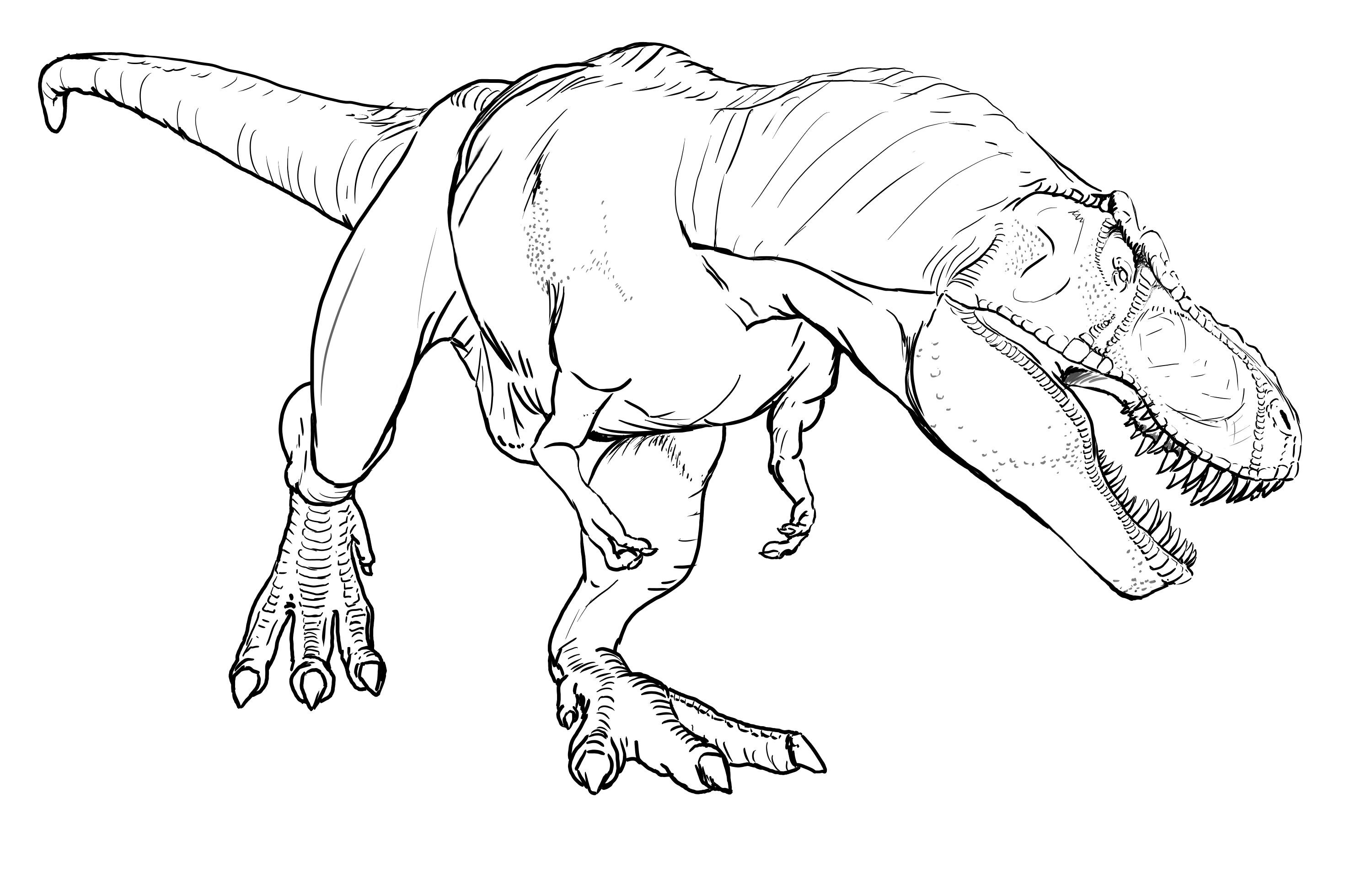 coloriage a imprimer dinosaure t rex 1001 animaux a dinosaure a colorier