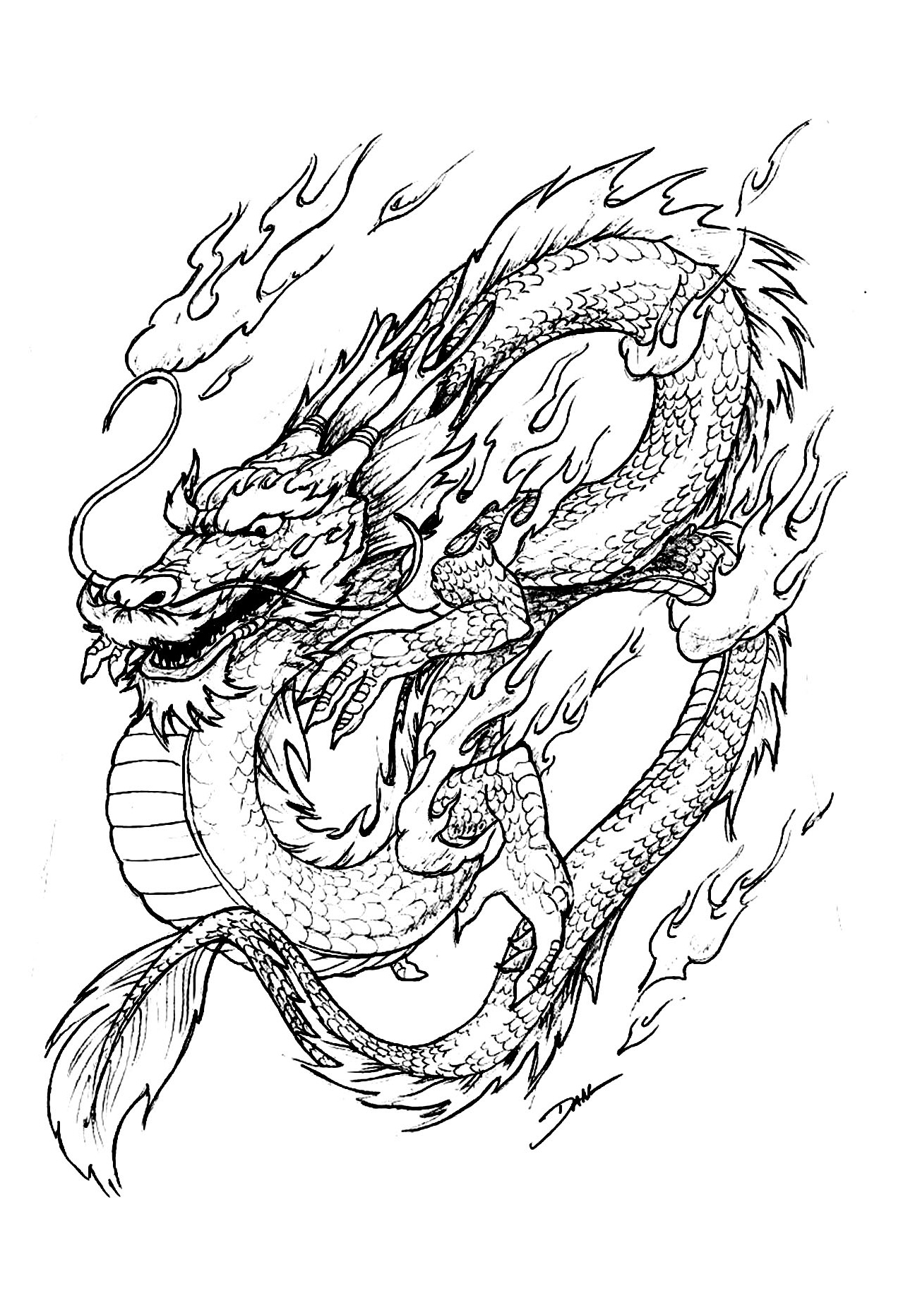 image=chine asie coloriage dragon chinois 1