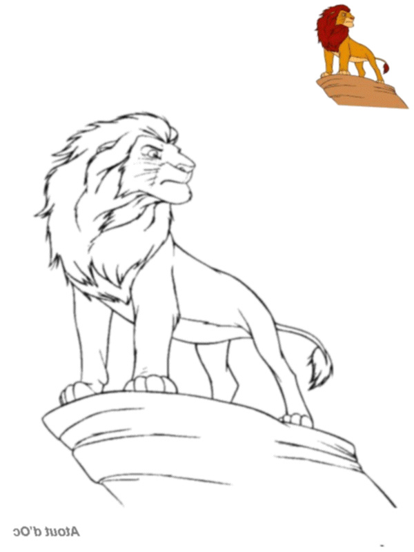 disney roi lion color