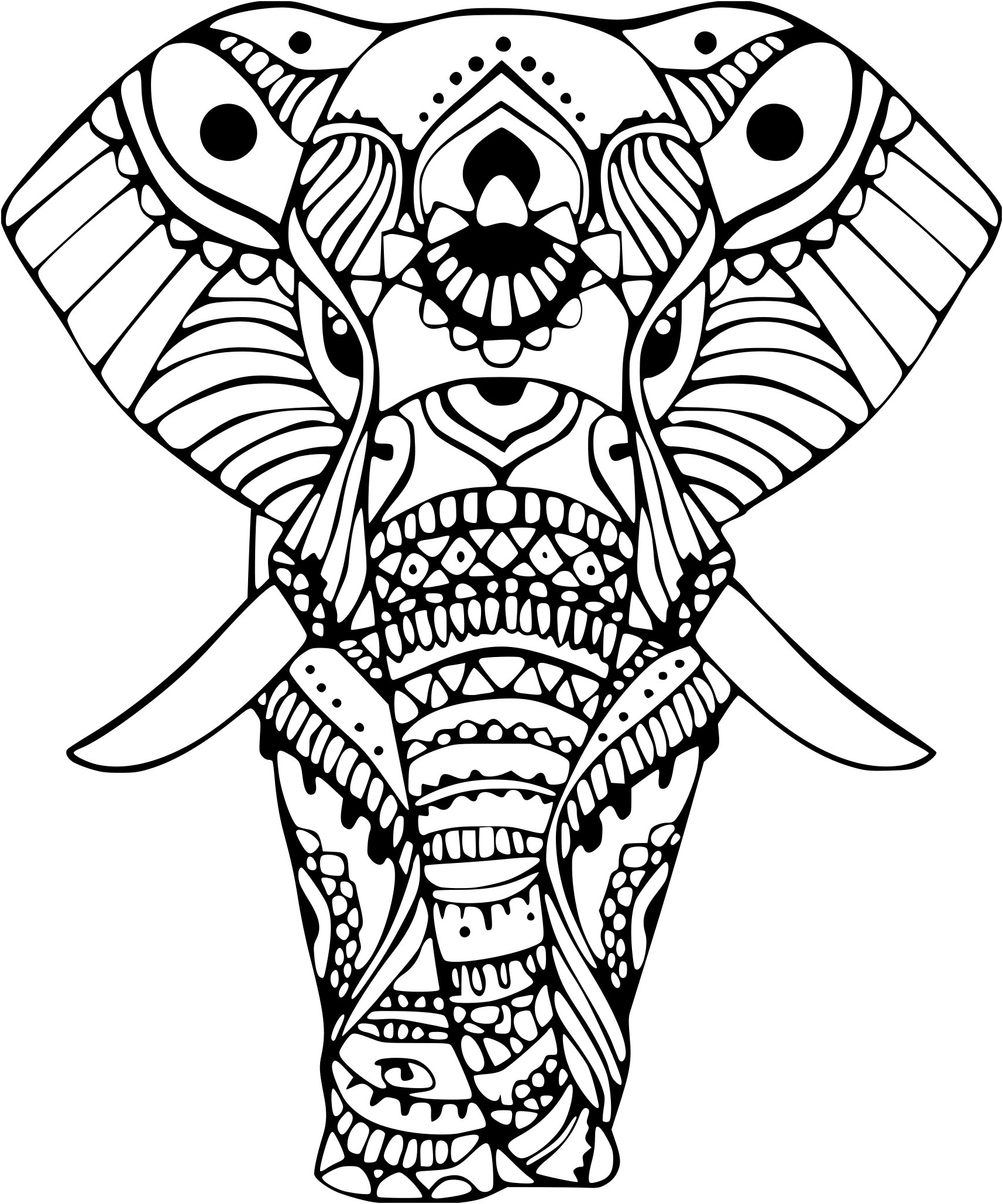 elephant in n