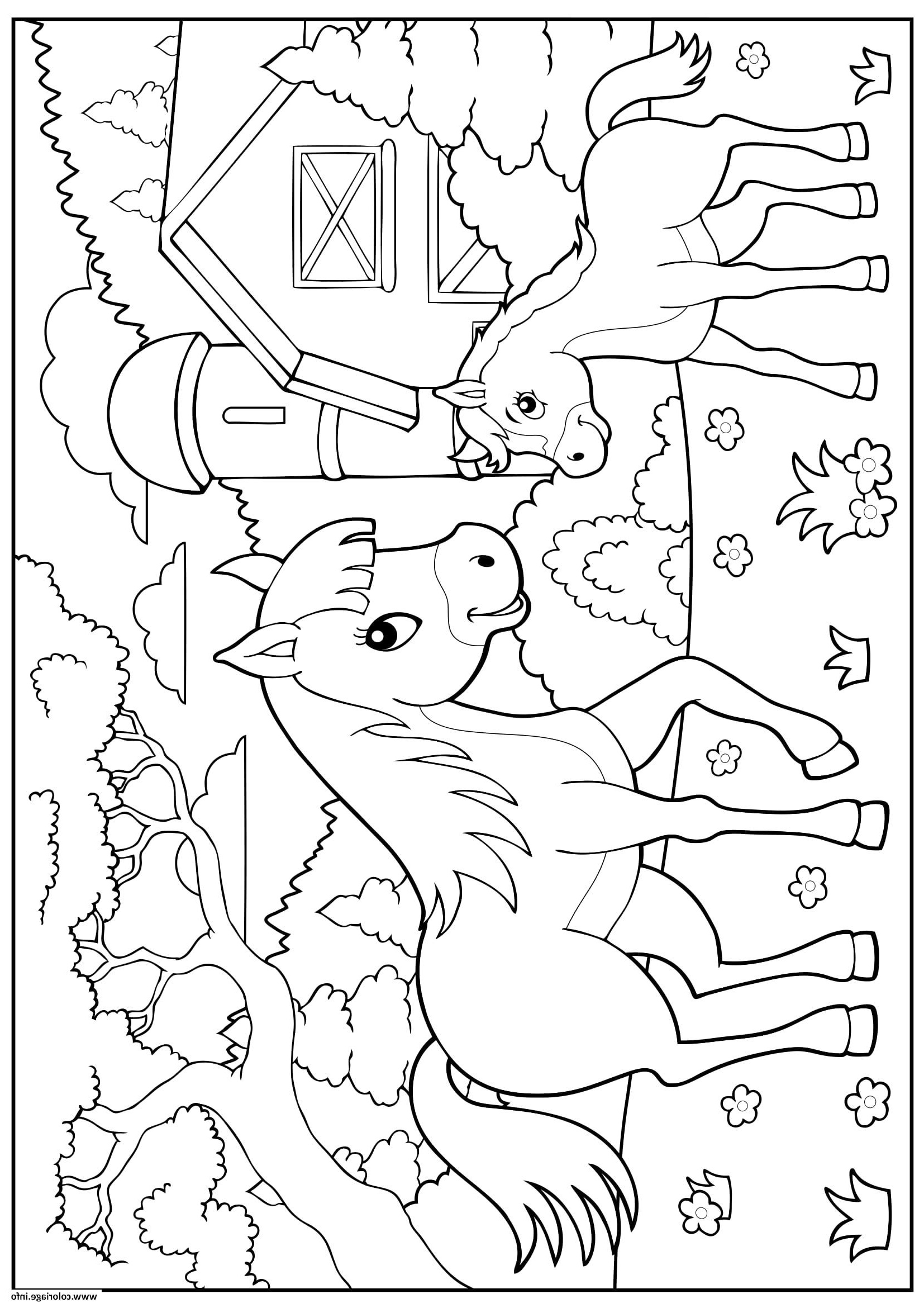 la ferme cheval poney enfant maternelle coloriage dessin