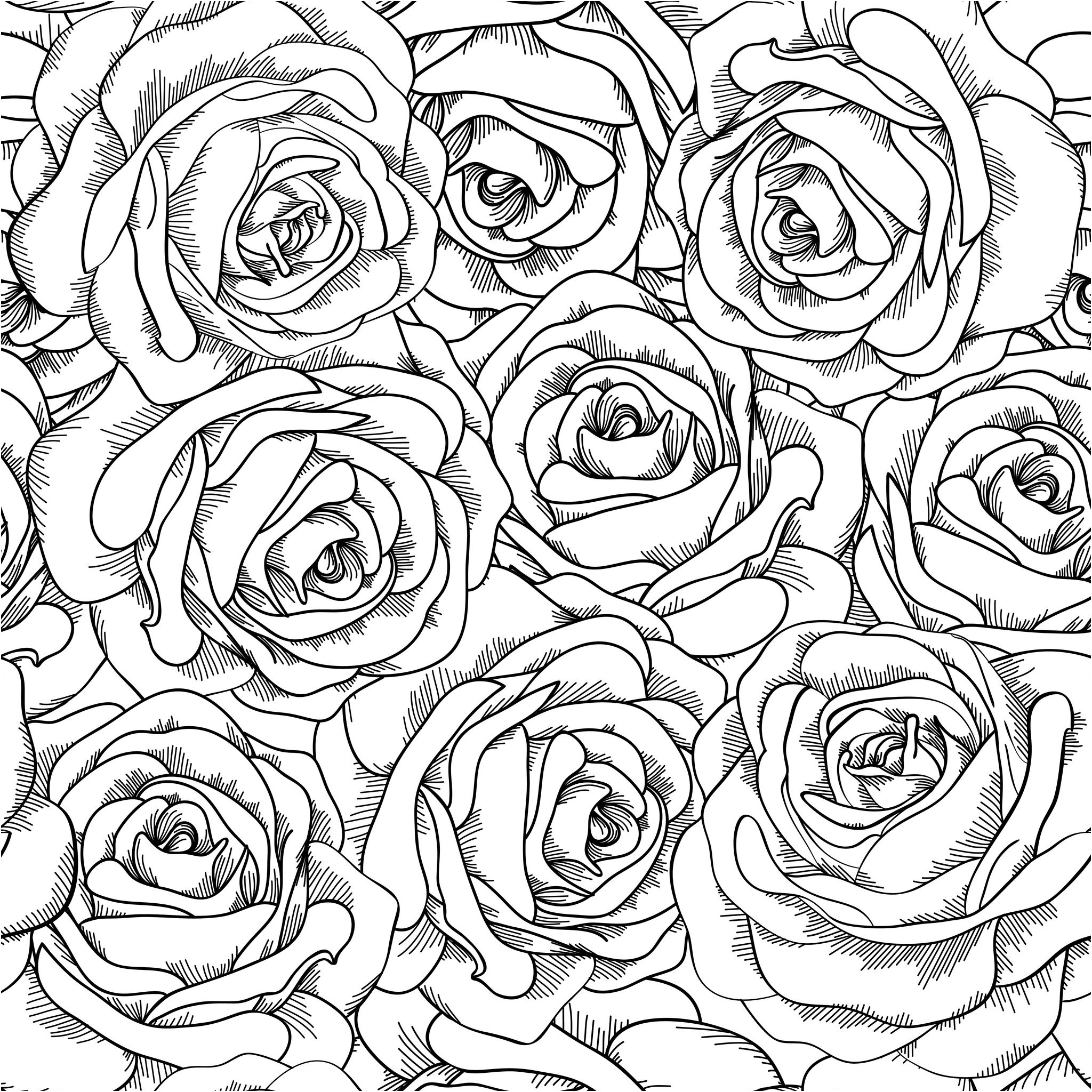 q=adult roses