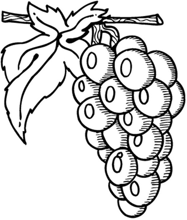 1659 COLORIAGES Fruits et Legumes