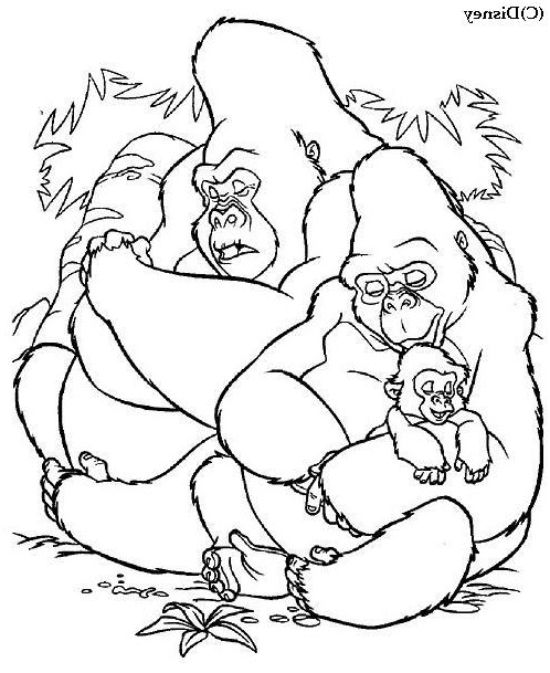 dessin de gorille 8