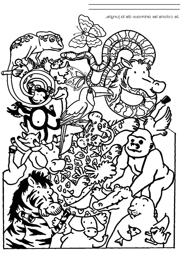 dessin coloriage animaux jungle
