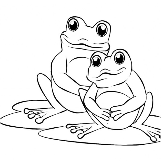 dessin de grenouilles