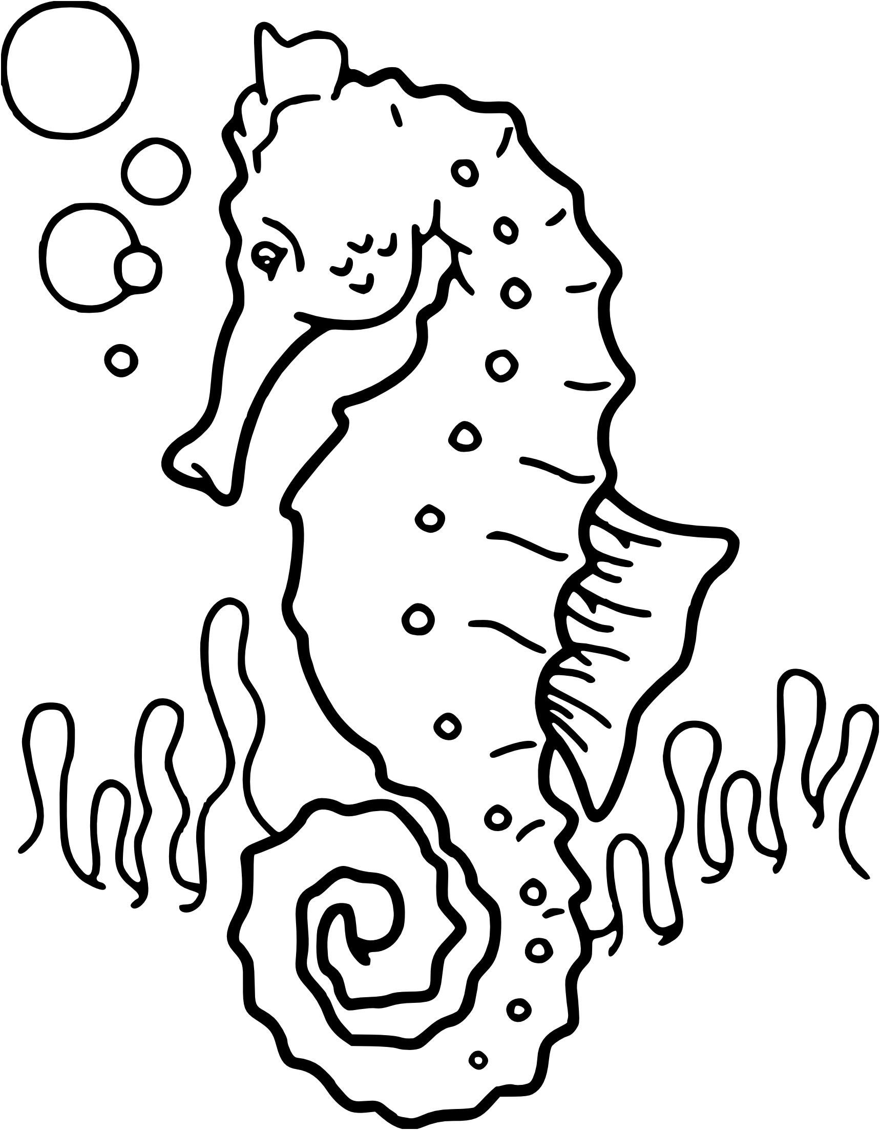 coloriage hippocampe chevaux de mer