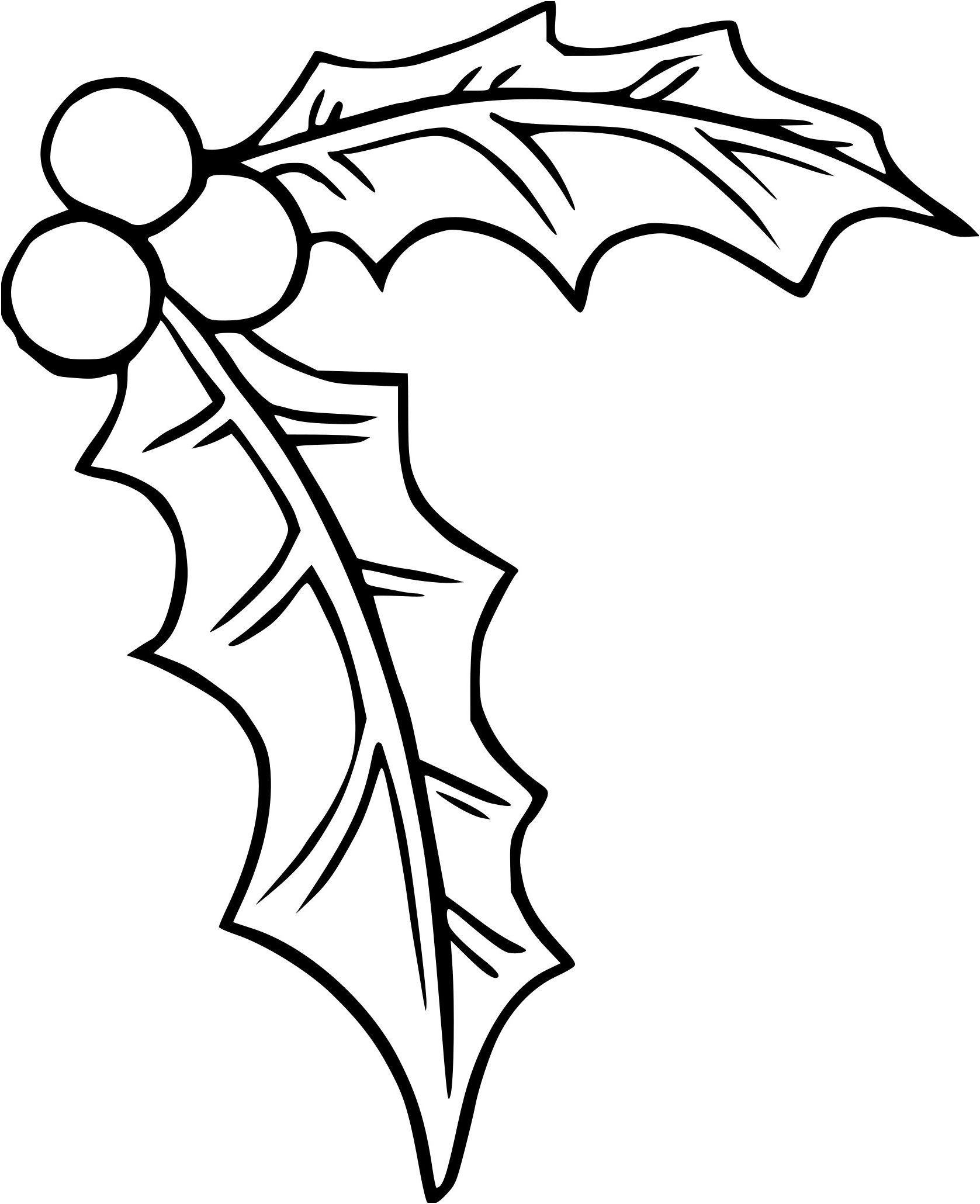 Coloriage Houx Génial Coloriage Houx Imprimer Gratuit