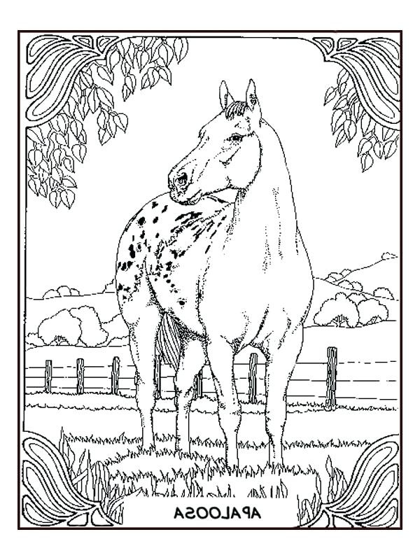 coloriage mandala cheval imprimer gratuit