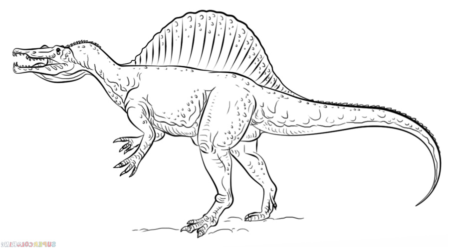 how to draw a spinosaurus