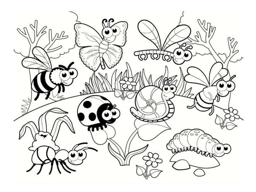 5762 coloriage insectes jardin 2316 un bisounours jardine coloriage dessin