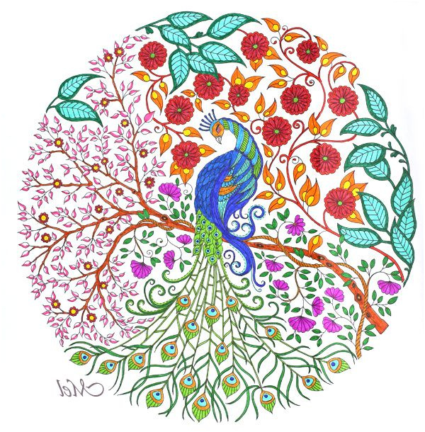 Coloriage Jardin Secret Unique 124 Best Coloriages & Dessins Images On Pinterest