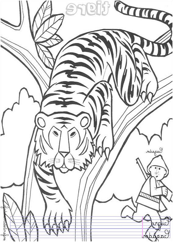 enfantsdumonde fr espagnol animaux jungle coloriage tigre 1
