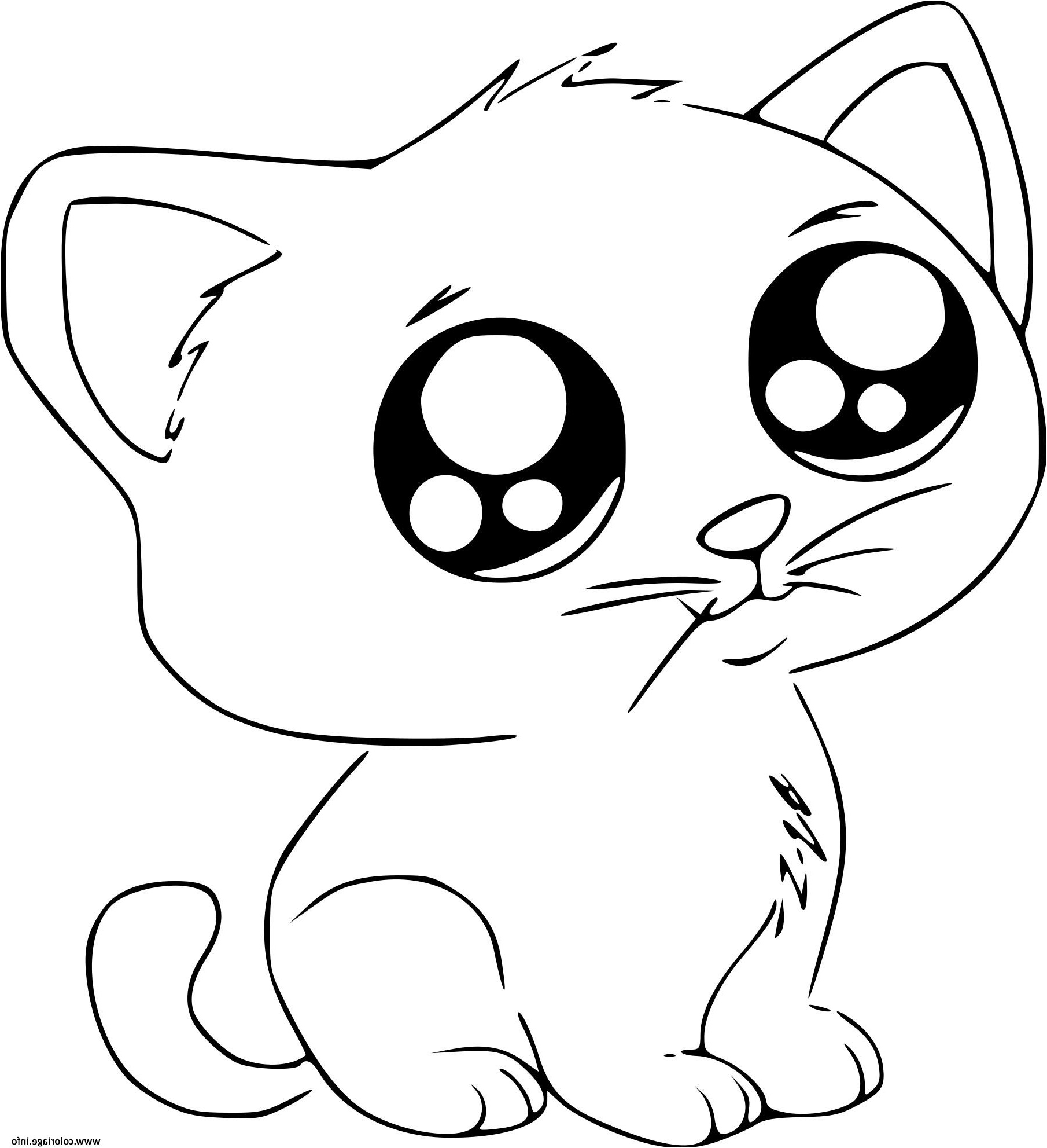 dessin chat kawaii cute coloriage dessin