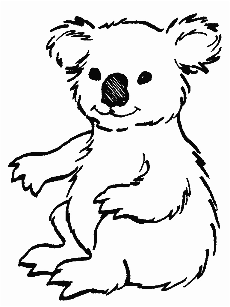 rub koala coloriage