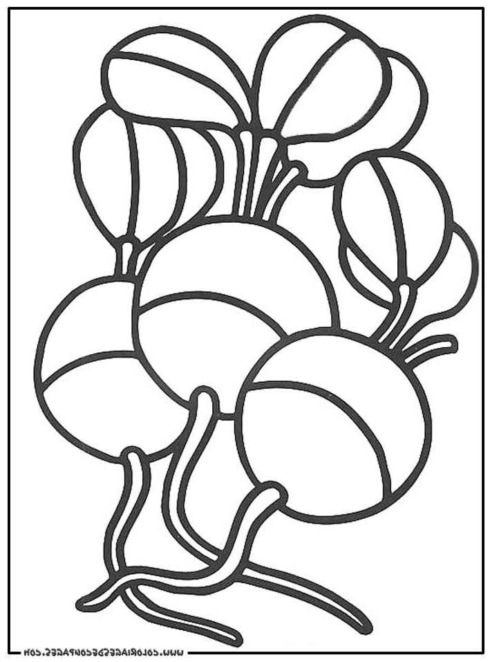 dessin fruit legume rigolo