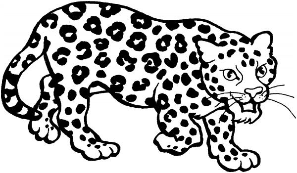 imagenes para pintar de leopardos