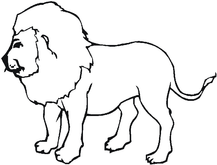 coloriage lion