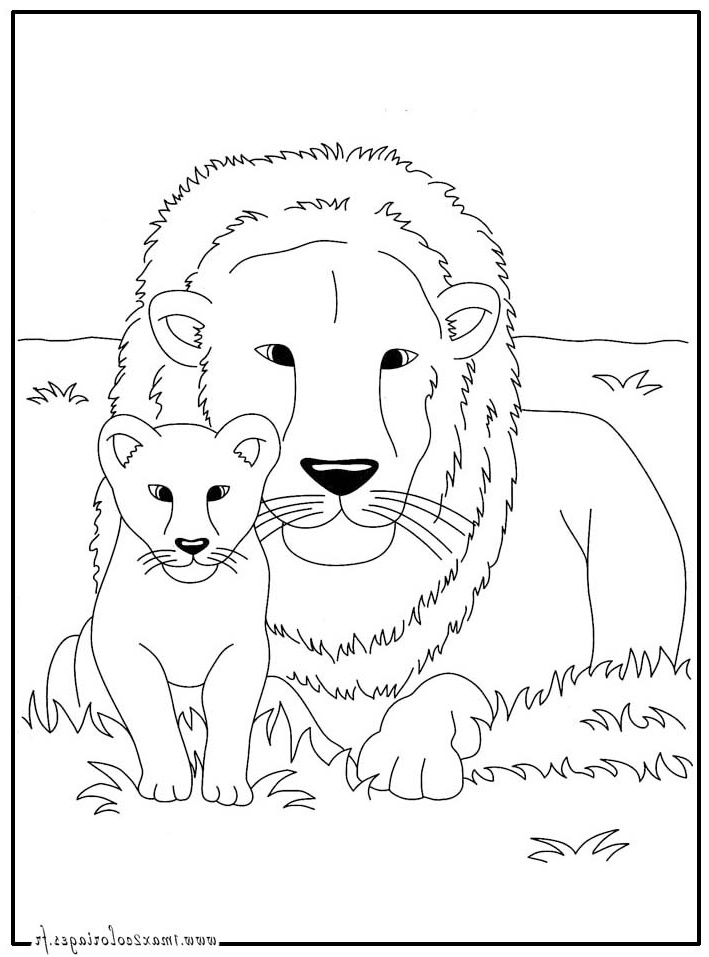 lions coloriage