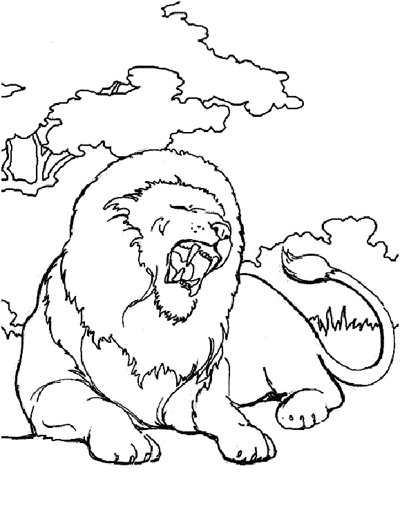 coloriage lion sauvage