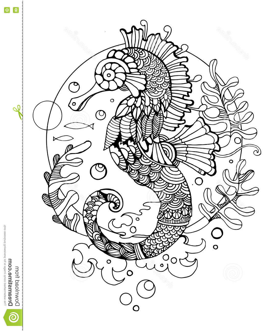 illustration stock livre de coloriage d hippocampe pour le vecteur d adultes image
