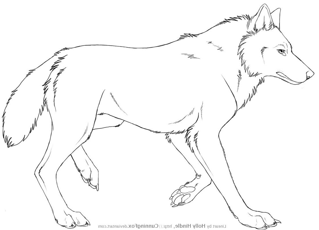 howling wolf full body sketch templates