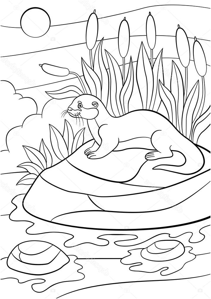 stock illustration coloring pages little cute otter