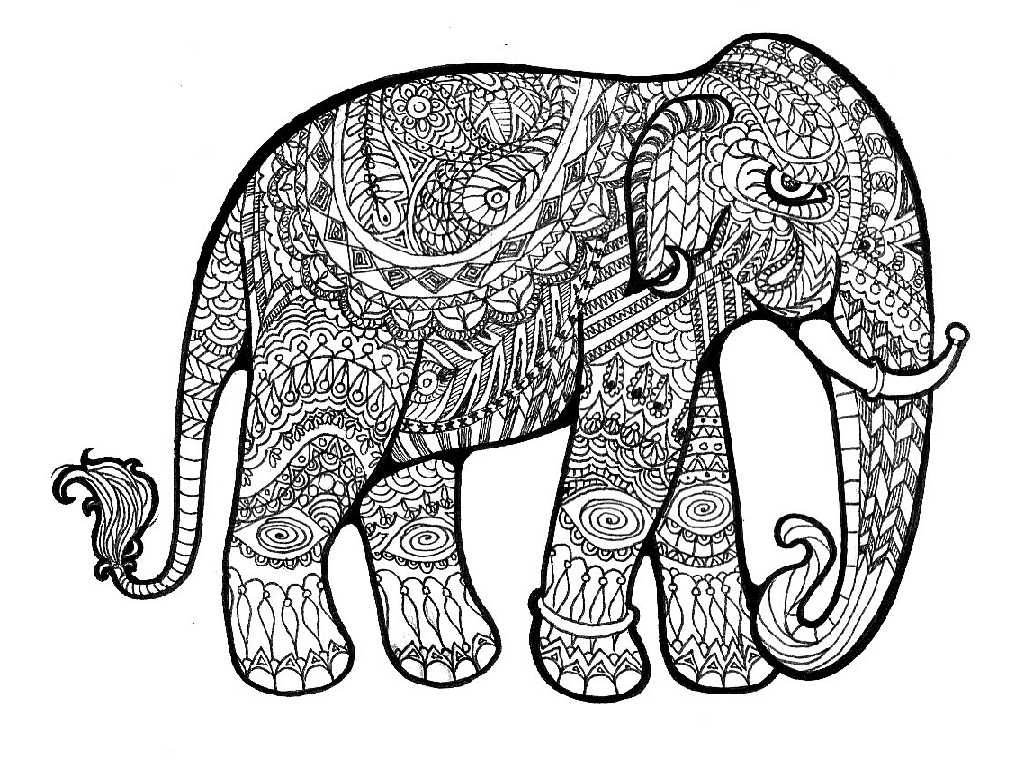elephant tumblr coloring 656c e74