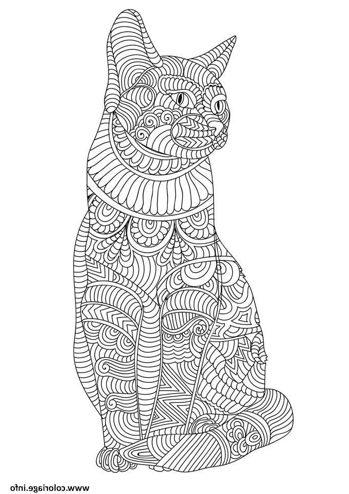 chat mandala adulte cute coloriage dessin