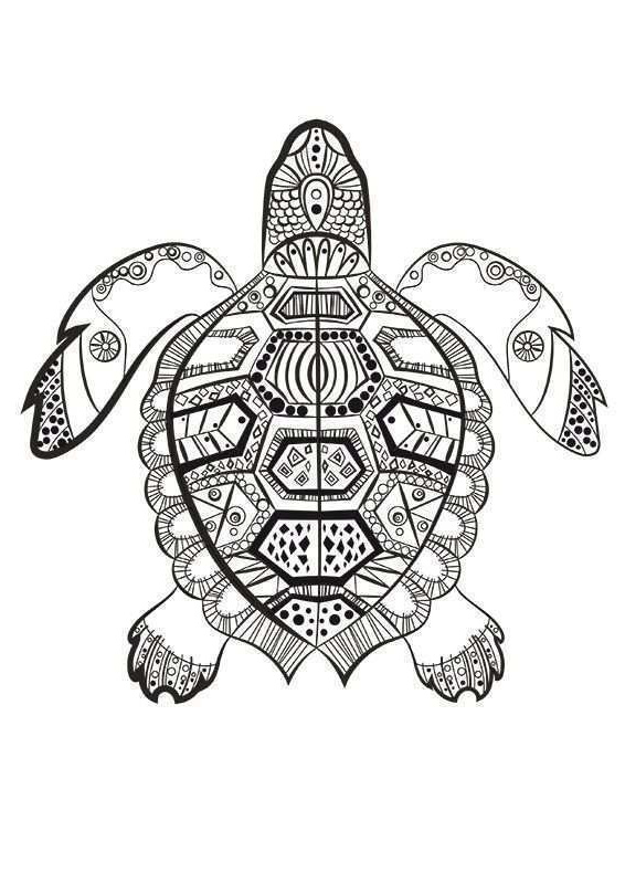 coloriage mandala animaux facile frais la tortue marine colorier du dimanche