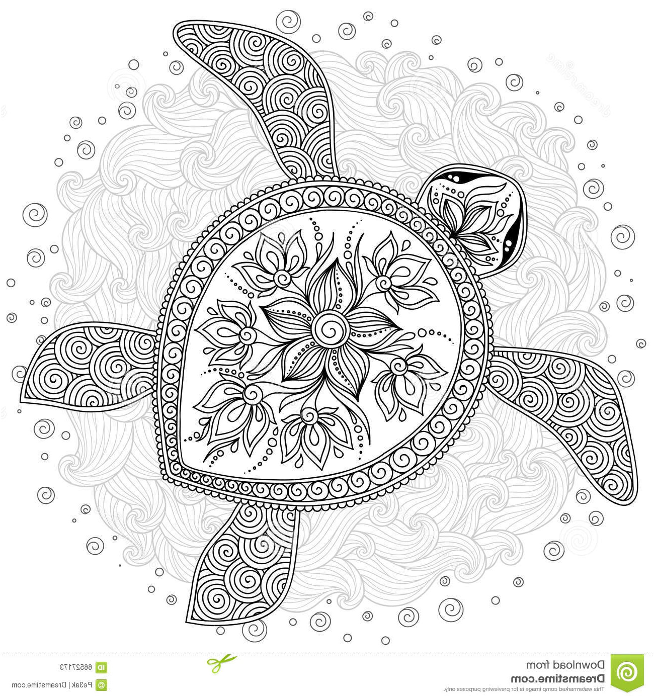 illustration stock modèle pour livre de coloriage tortue graphique décorative image