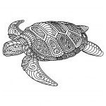 70 coloriage mandala animaux tortue