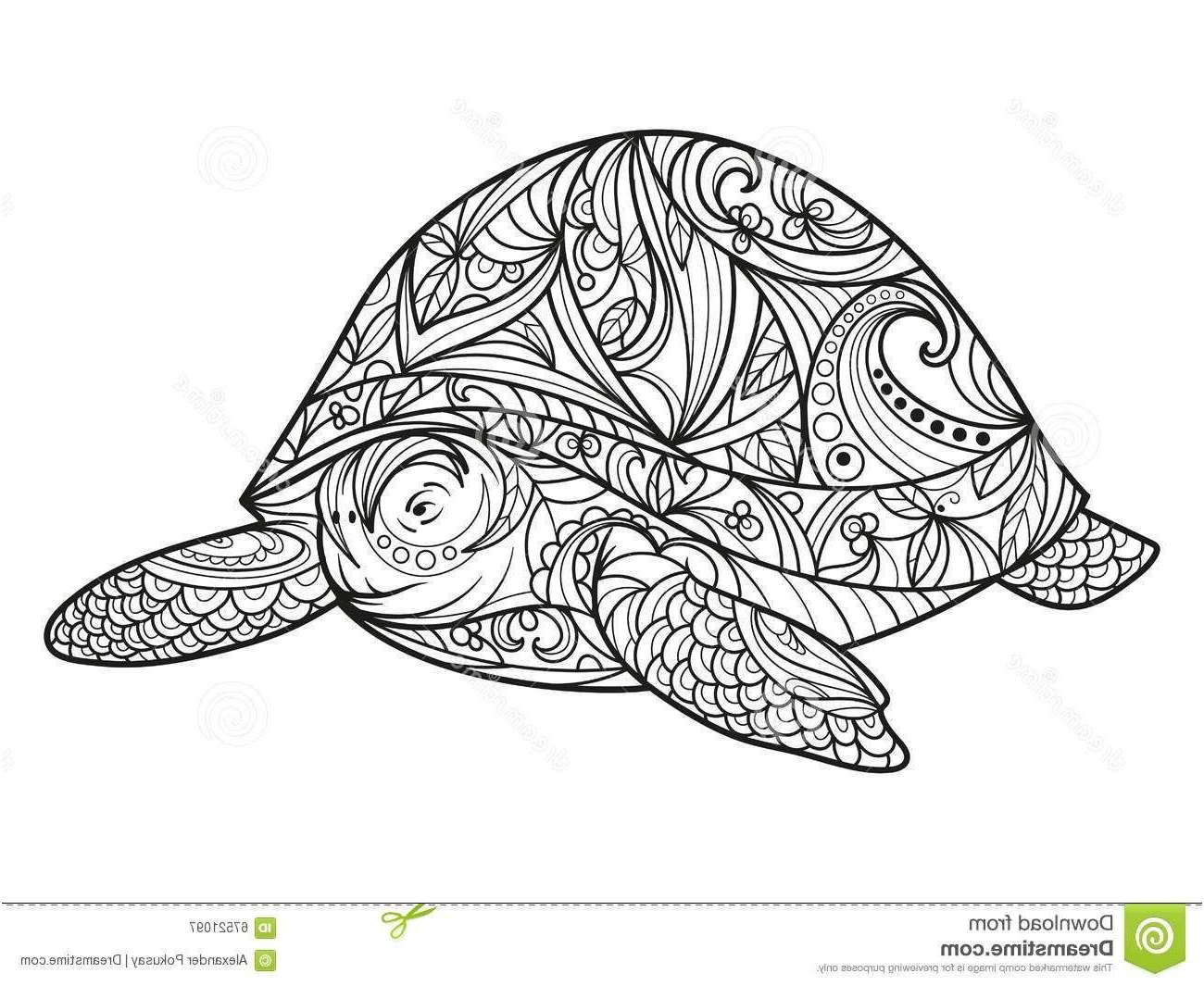 8669 nouveau livre de coloriage de tortue pour le vecteur d 3821 livres de coloriage mandala pour adultes