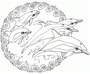 coloriage a imprimer mandala dauphin