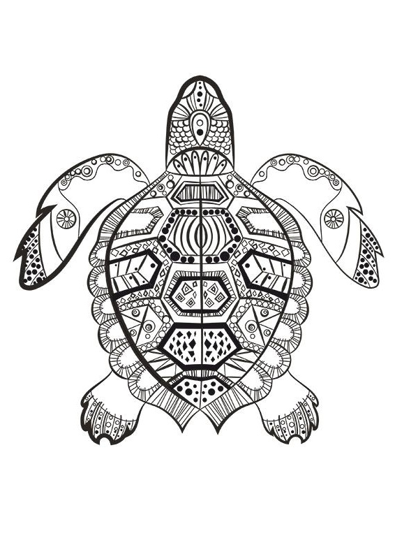 coloriage mandala dauphin a imprimer la tortue marine colorier du dimanche
